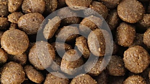 Bio Food for dogs