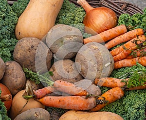 Bio food. Garden produce and harvested vegetable. Fresh farm vegetables.