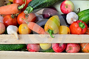 Bio food. Garden produce and harvested vegetable. Fresh farm vegetables in wooden box