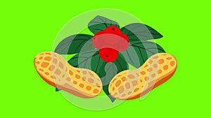 Bio food icon animation
