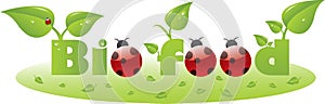 Bio food text caption with ladybugs photo