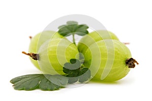 Bio fresh gooseberry