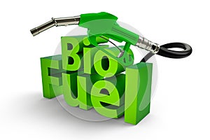 Bio fuel