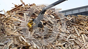 Bio fuel production from logs. Machine load wood and crush it to shavings sawdust chips