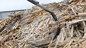 Bio fuel production from logs. Machine load wood and crush it to shavings sawdust chips