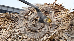 Bio fuel production from logs. Machine load wood and crush it to shavings sawdust chips