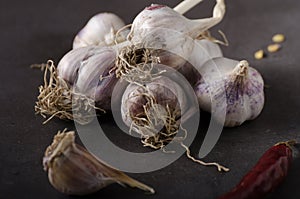 Bio garlic from garden