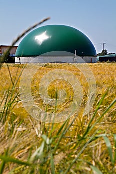 Bio gas plant in a corn field