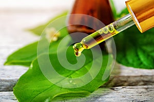 Bio herbal cosmetics and alternative medicine concept