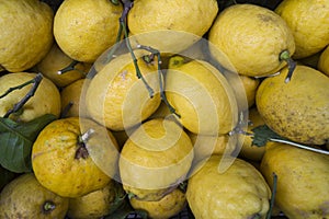 Bio lemons