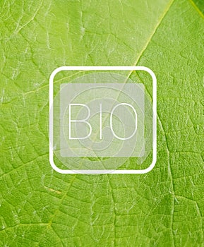 BIO logo over leaf background. Biological products and ingredients.