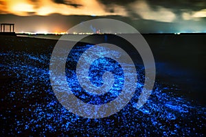 Bio luminescence. Illumination of plankton at Maldives. Many bri photo