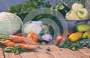 Bio organic fresh summer vegetables - first harvest of organically grown cabbage, cucumber, carrot, zucchini, pepper, onion, eggpl