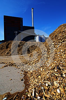 Bio power plant with storage of wooden fuel