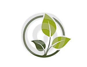bio product icon. sprout in a circle. organic, natural and eco friendly symbol. isolated vector illustration