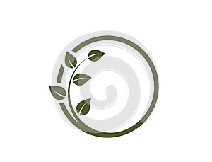 bio product icon. twisted green twig in a circle. organic, natural and eco friendly symbol. isolated vector illustration