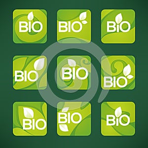 Bio Product, organic leaves emblems, stickers, logo, icons for