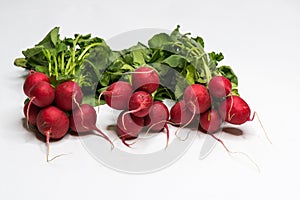 Bio Radish isolated