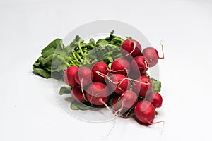 Bio Radish isolated