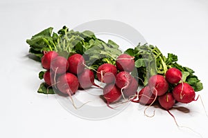 Bio Radish isolated