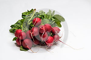 Bio Radish isolated