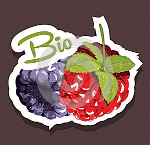 Bio raspberries tag