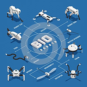 Bio Robots Isometric Flowchart