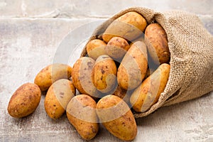 A bio russet potato wooden vintage background photo