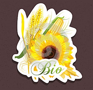 Bio sunflower tag