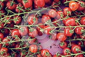 Bio tomatoes farmer's market