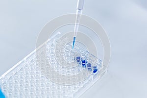 Biochemical analysis and Chemical analysis in Lab.