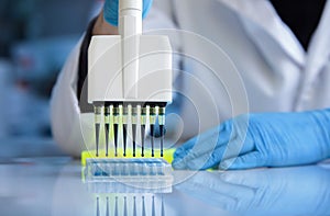 Biochemical engineer working with fluid samples in plate multi well in the laboratory