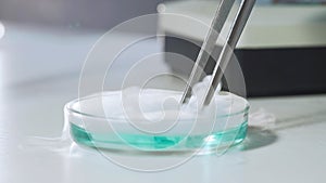 Biochemical experiment, blue liquid in glass tube evaporating, close-up shot