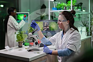 Biochemist researcher holding gmo leaf sample analyzing genetically modified plants