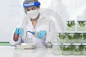 Biochemistry asian Scientist women working plants tissue culture biotechnology in science lab. Biotech Laboratory asian woman look