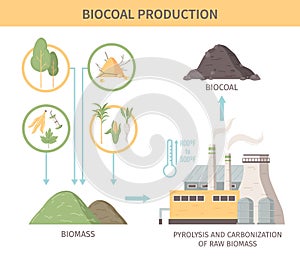 Biocoal Production Infographics Illustration