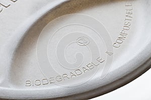 Biodegradable and compostable paper plate photo