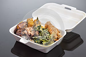 Biodegradable lunch box with rice, vegetable and food, convenient for food takeaway delivery