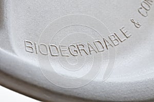 Biodegradable paper plate detail photo