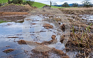 Biodegradable silt sediment net trap at the site of a breached flood bank photo