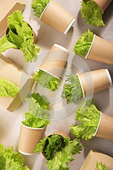 Biodegradable tableware and greens on light background. Secondary processing. The concept of zero waste. photo