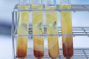 Biodiesel production is the process of producing the biofuel, biodiesel.