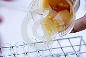 Biodiesel production is the process of producing the biofuel, biodiesel.