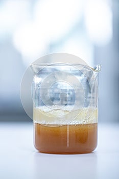 Biodiesel production is the process of producing the biofuel, biodiesel.