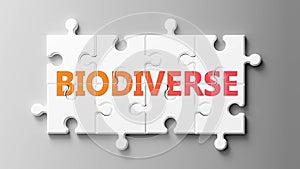 Biodiverse complex like a puzzle - pictured as word Biodiverse on a puzzle pieces to show that Biodiverse can be difficult and