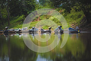 Amazing biodiversity inside the amazon jungle, woods and riveers photo