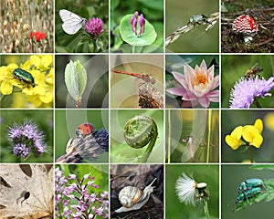 Biodiversità 