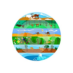 Biodiversity 2D vector web banner, poster photo