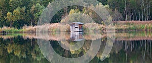 Biodiversity Haff Reimech, wetland and nature reserve in Luxembourg, pond surrounded by reed and trees, bird watching observation