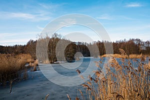 Biodiversity Haff Reimech, wetland and nature reserve in Luxembourg, pond surrounded by reed and trees, bird watching observation